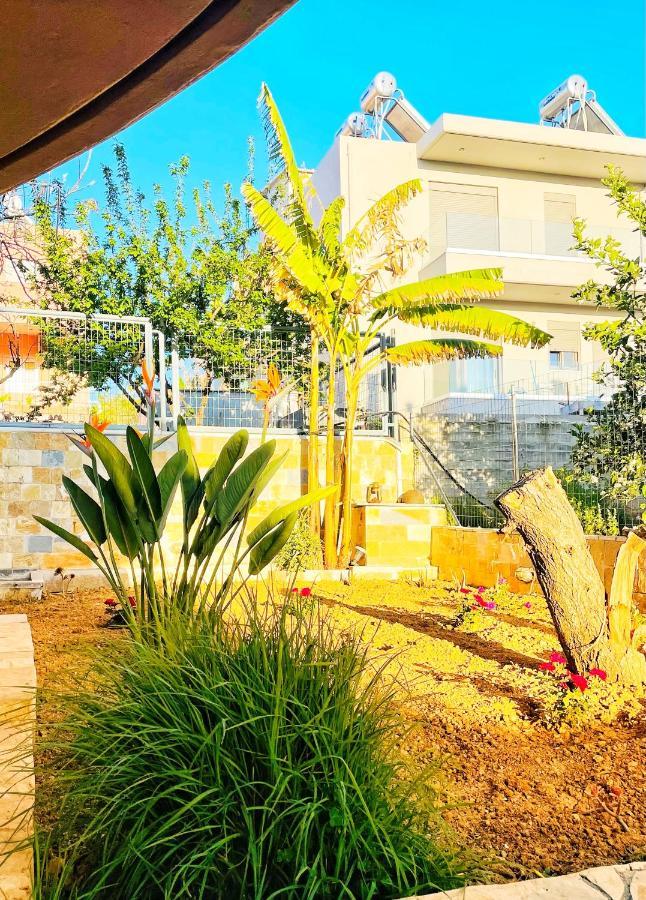 Glaros Beach Apartment Kato Daratso Exteriér fotografie